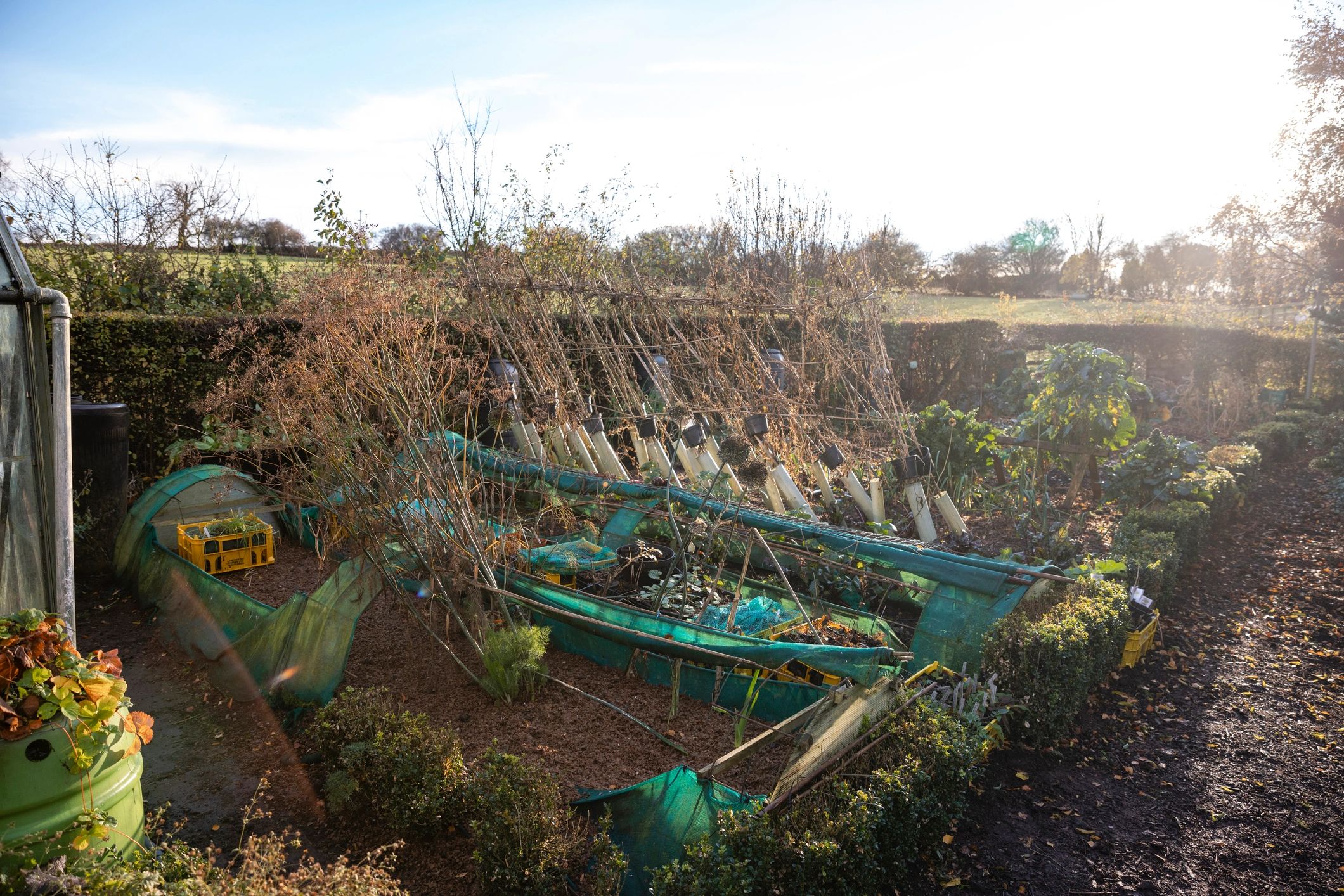 Community farm in the North East of England