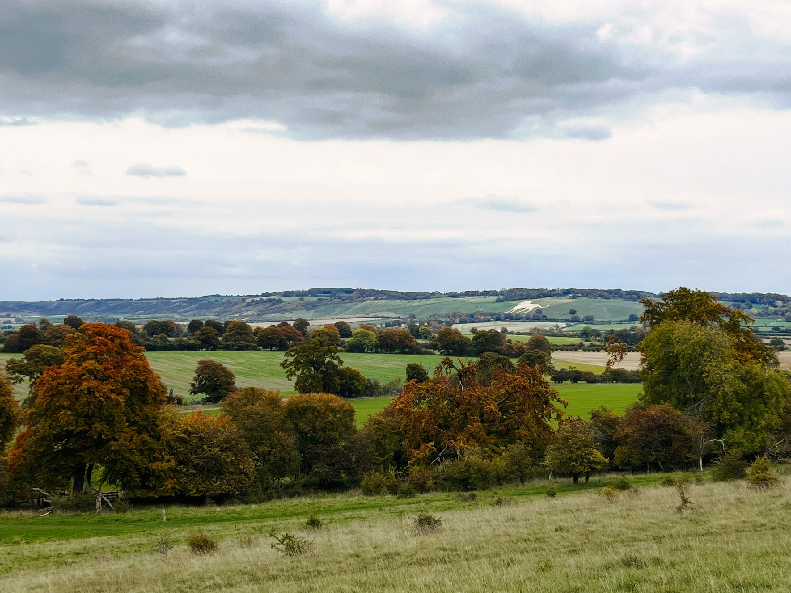 Rolling hillside with autumn trees in England countryside